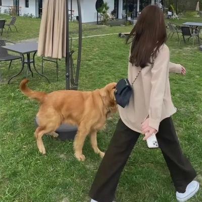 千万别抬头